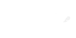 Capgemni