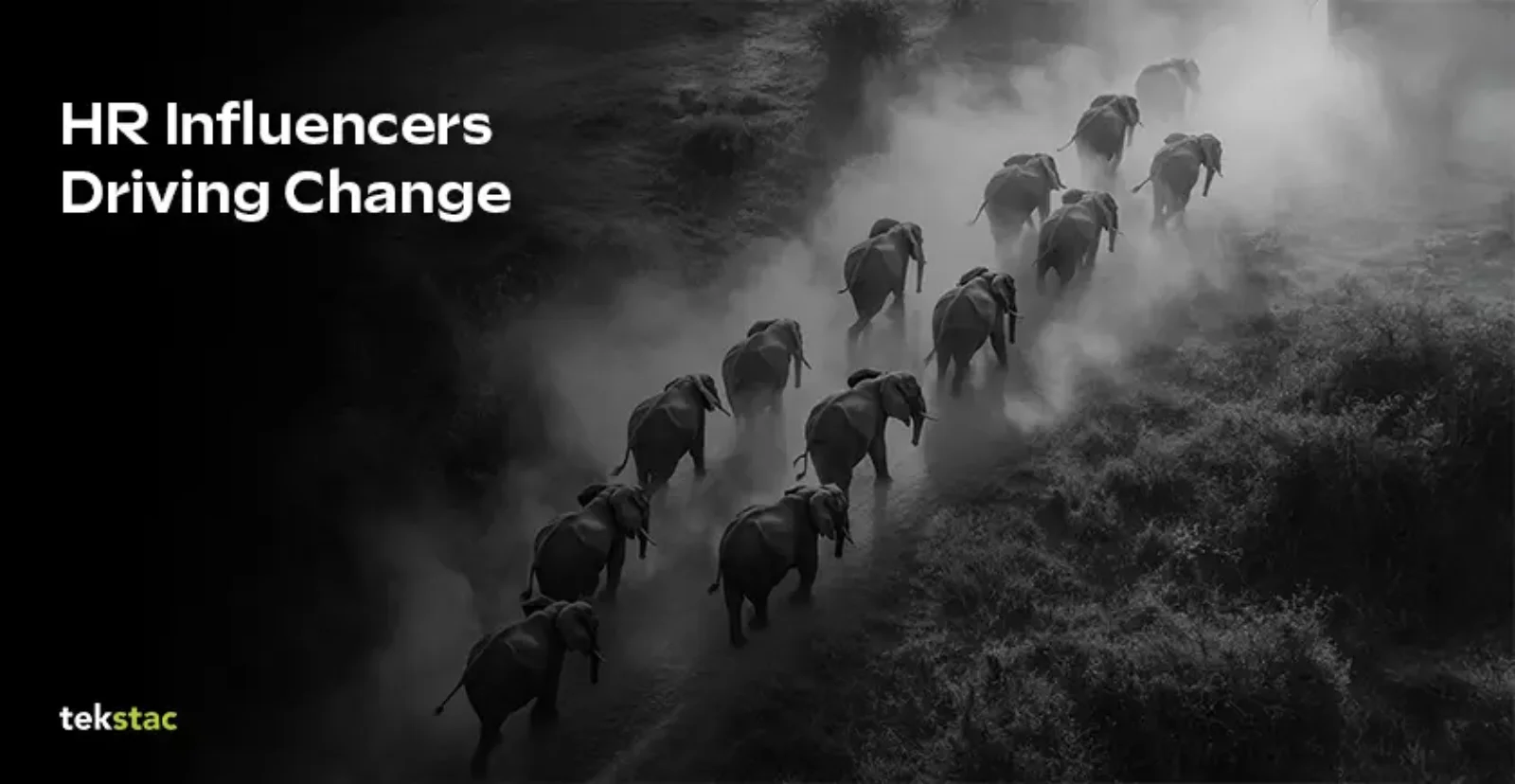 HR Influencers Driving Change - Tekstac