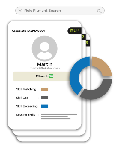 Role Fitment Analyzer